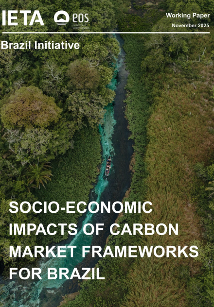Socio-Economic Impacts of Carbon Market Frameworks For Brazil